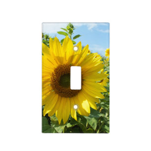flower, nature, sunflower, summer, blossom, plant, light switch cover
