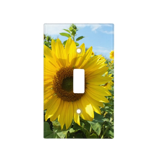 flower, nature, sunflower, summer, blossom, plant, light switch cover (Front)