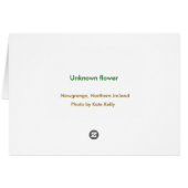 Flower, Newgrange, Northern Ireland (Back Horizontal)