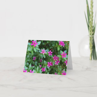 Flower Note Cards
