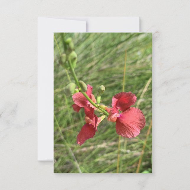 Flower Notecard (Front)