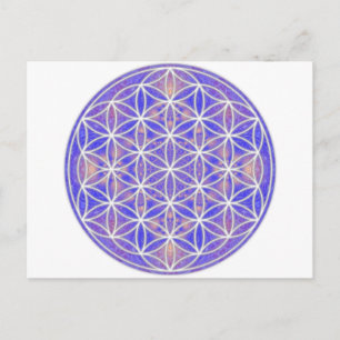 Flower of Life (Color 3) Postcard