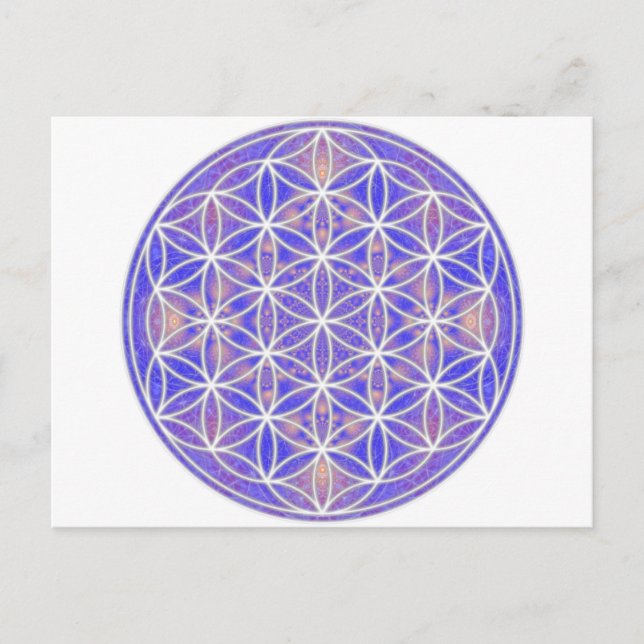 Flower of Life (Color 3) Postcard (Front)