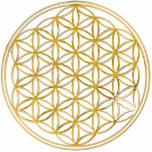 FLOWER OF LIFE - gold Cutout<br><div class="desc">Spiritual SymbolART by EDDA Fröhlich | The Flower of Life is the original language of the universe; shapes,  geometry,  numbers and proportions. It radiates harmony and perfection of the holy geometry and stands for infinity and perfect order.</div>