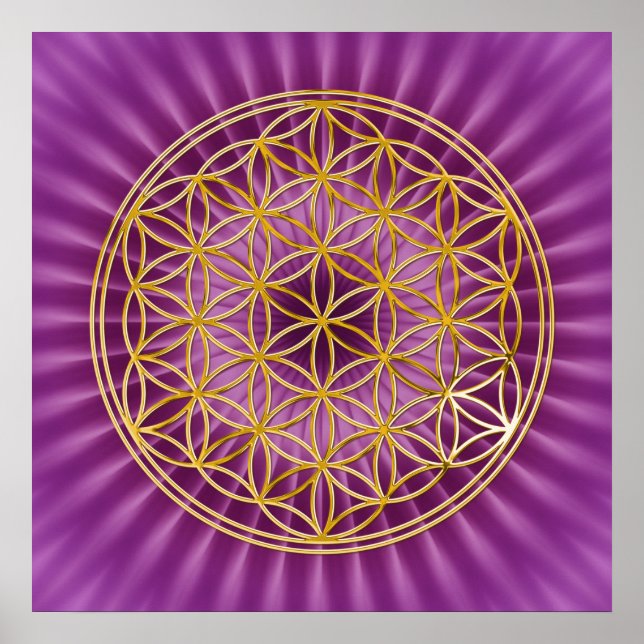Flower Of Life | gold, magenta shine Poster (Front)