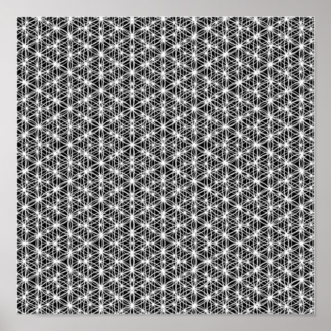 Flower Of Life Intricate Weave #4 Poster (Front)