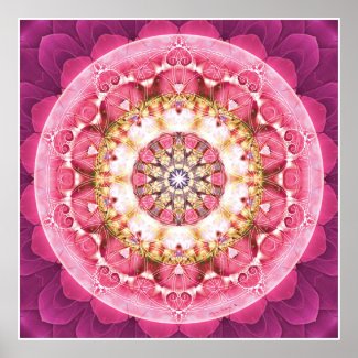 Flower of Life Mandala 5 Poster