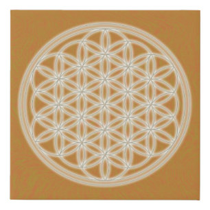 Flower of Life - Orange - Faux Canvas Print