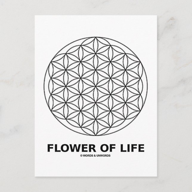 Flower Of Life (Sacred Geometry) Postcard (Front)