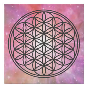 FLOWER OF LIFE - Sacred Geometry Symbol outline 1 Faux Canvas Print