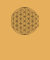 Flower of Life