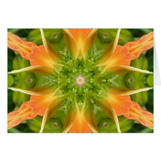 Flower of Peace Mandala Cards