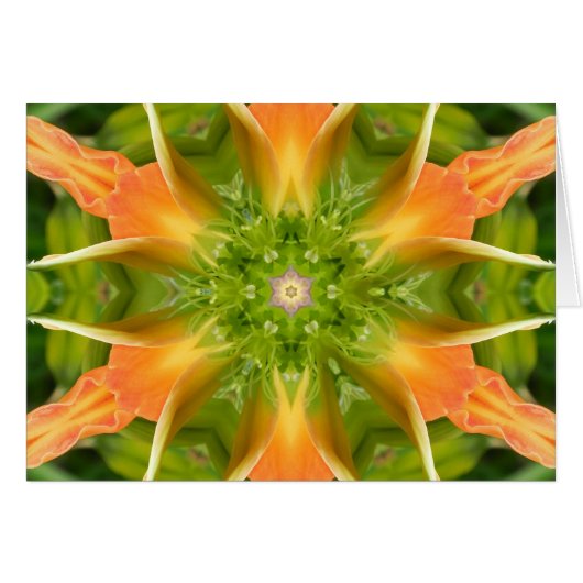 Flower of Peace Mandala Cards (Front Horizontal)