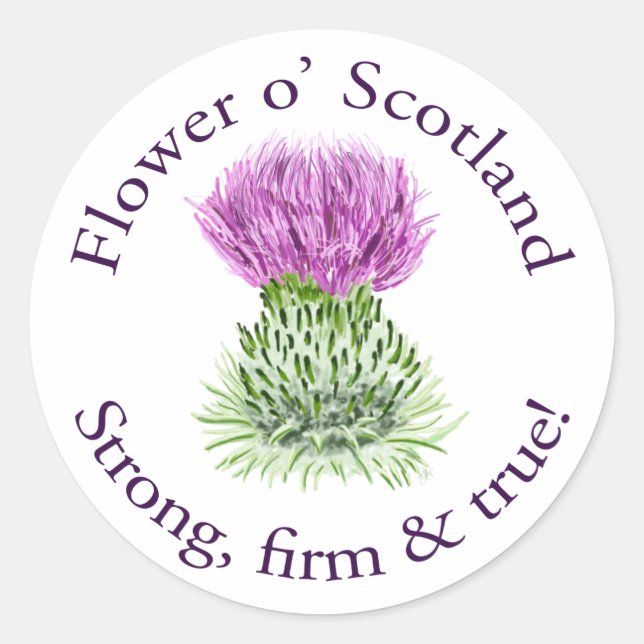 Flower of Scotland. Strong, firm and true! Classic Round Sticker (Front)