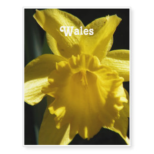 Flower of Wales Temporary Tattoos