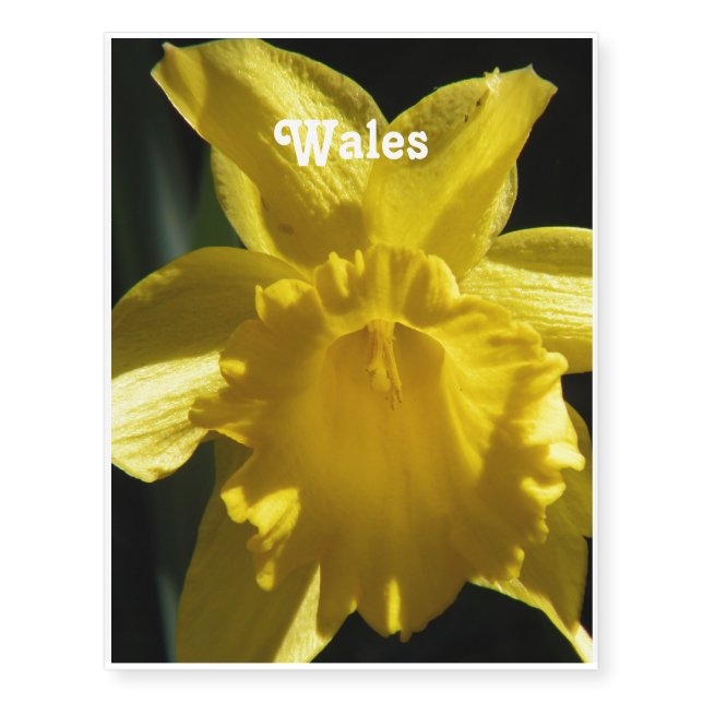 Flower of Wales Temporary Tattoos (Front)