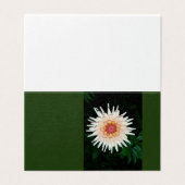 flower on a cool night (Outside Unfolded)