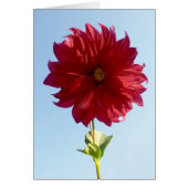 Flower on the Sky (Front)