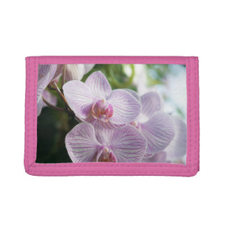 Flower Orchid Photo Wallet