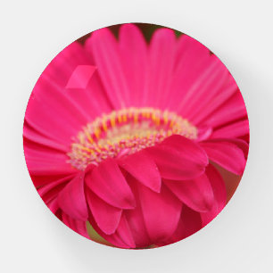 Flower Paperweight