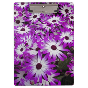 Flower pattern, Kuekenhof Gardens, Lisse, Clipboard