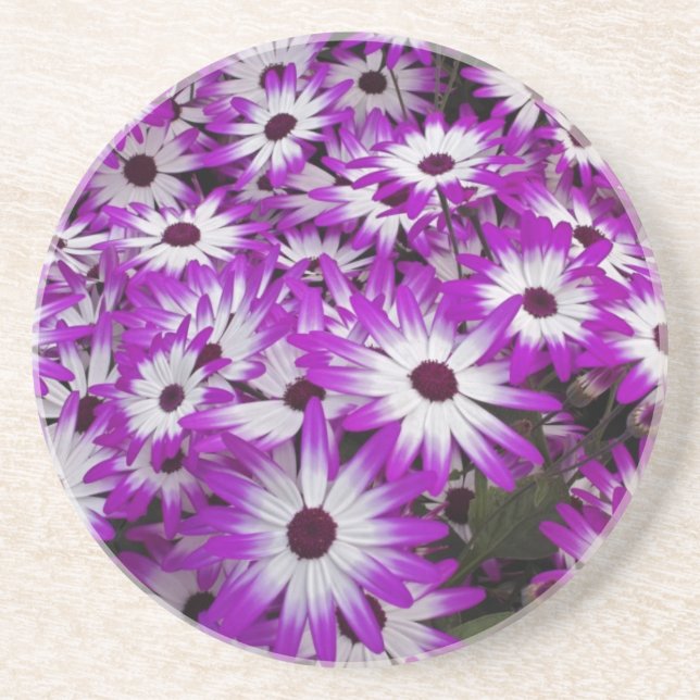 Flower pattern, Kuekenhof Gardens, Lisse, Drink Coaster (Front)