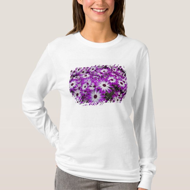 Flower pattern, Kuekenhof Gardens, Lisse, T-Shirt (Front)