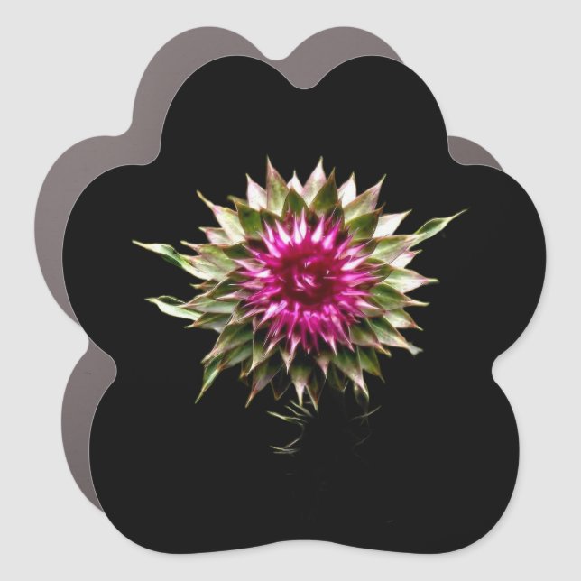 Flower paw car magnet (Front)