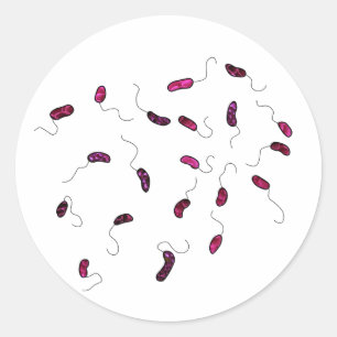 Flower petal microbe sticker