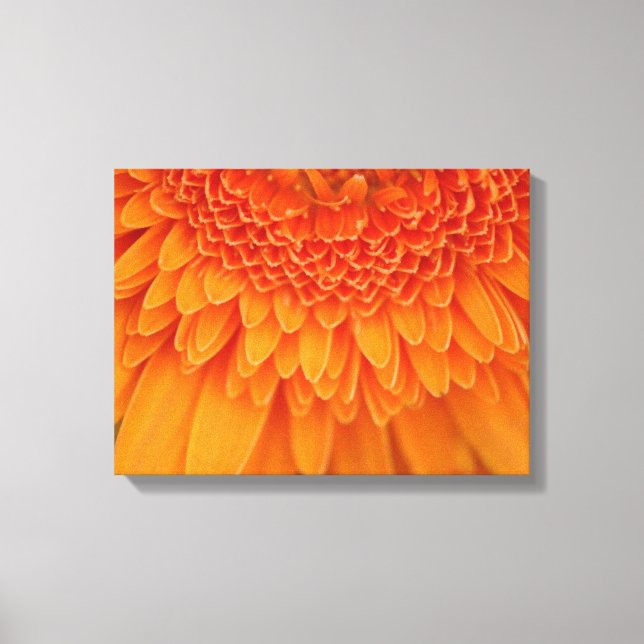 Flower Petals - Wrapped Canvas Print (Front)