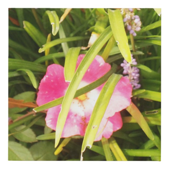 Flower Photo Canvas Art (Front)