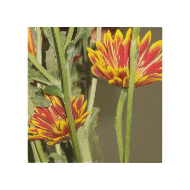 Flower Photo From Visit Wood Wall Art (Front)