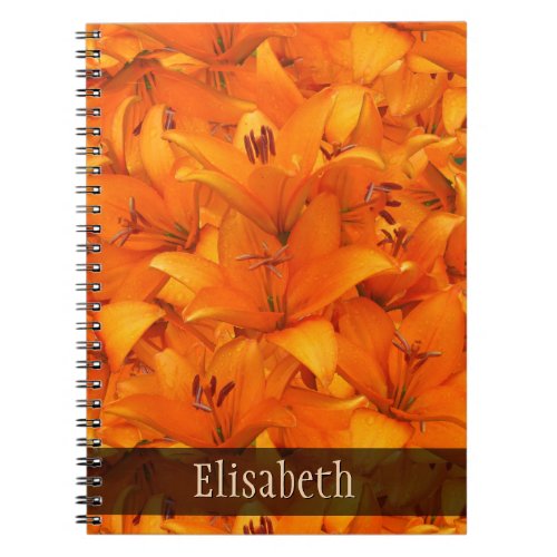 Flower Photo Orange Garden Lilies any Name Notebook