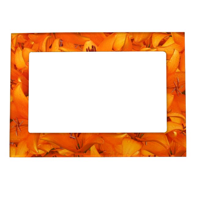 Flower Photo Orange Garden Lilies Magnetic Photo Frame (Front)