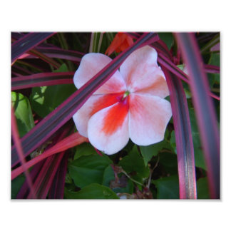 Flower Photo Print