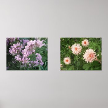 Flower Photo Print Set Of Two Picture Prints by photoedit at Zazzle