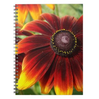 Flower Photo Yellow Brown Notebook