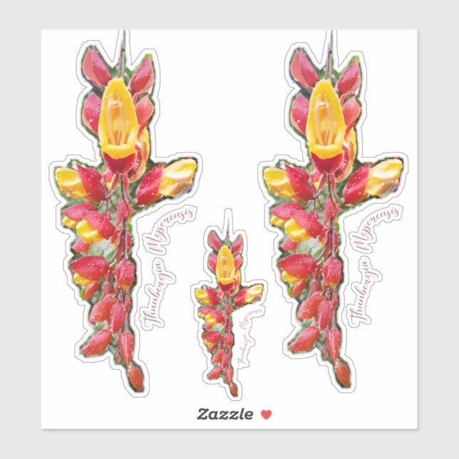 Flower photography sticker (Sheet)