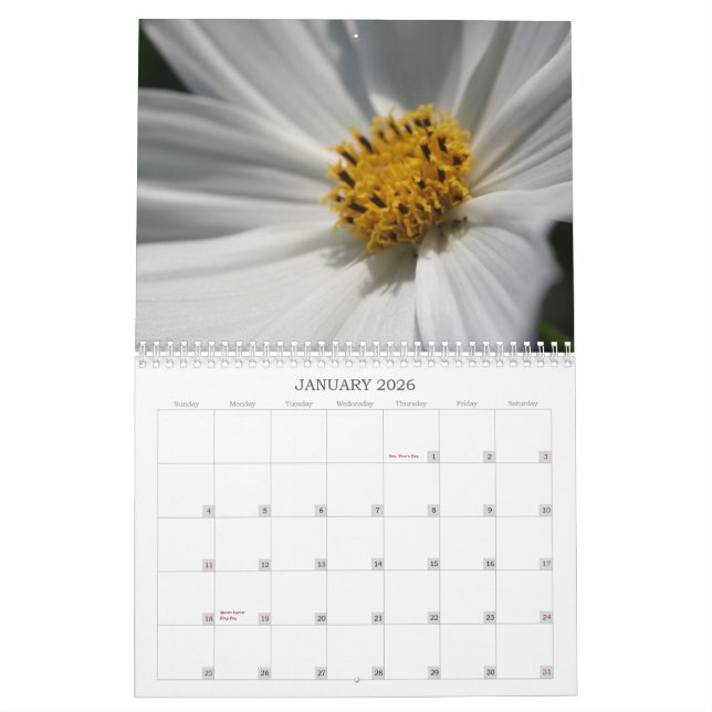 Flower Pictures Calendar (Jan 2026)