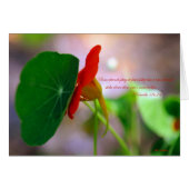 Flower & Plant lean on each other. (Front Horizontal)