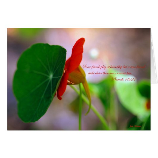 Flower & Plant lean on each other. Cards (Front Horizontal)