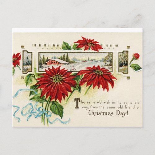 Flower Poinsettia Postcards