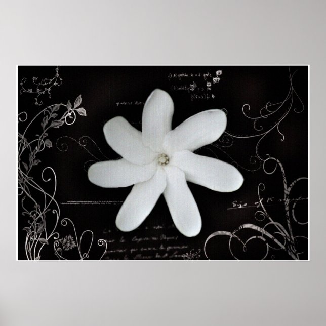 Flower Poster (Front)