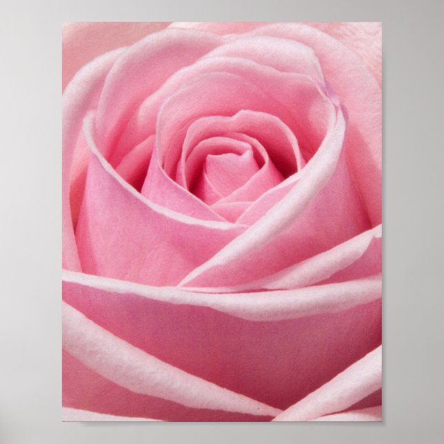 Flower Poster (Front)