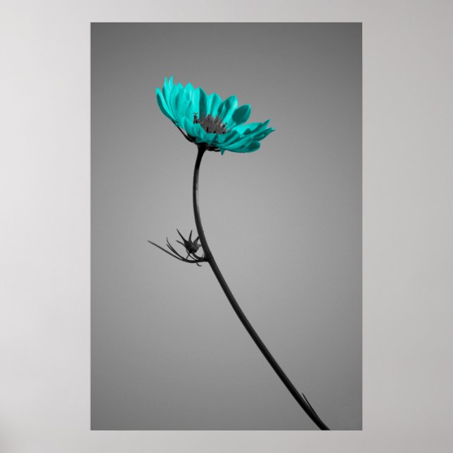 flower poster turquoise (Front)