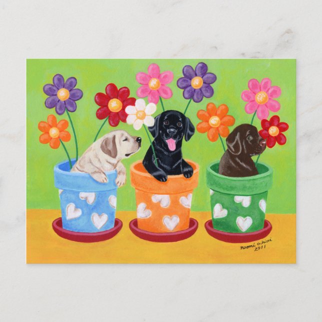 Flower Pot Labrador Puppies Postcard (Front)