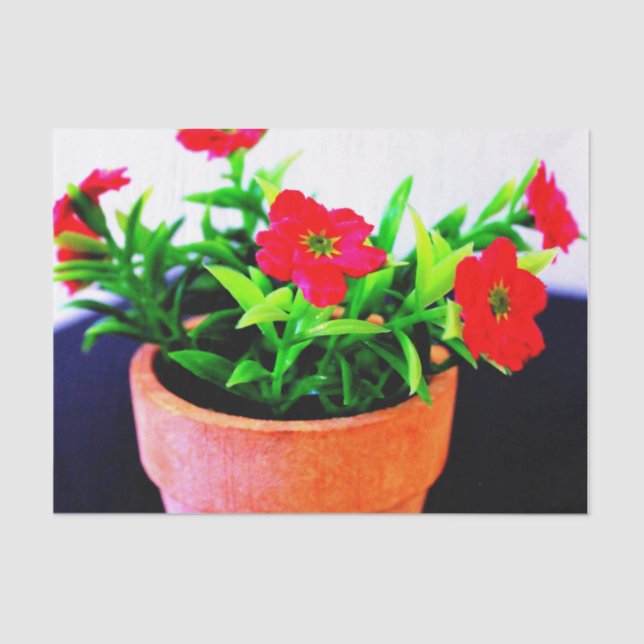 Flower Pot Tissue Paper (Front)