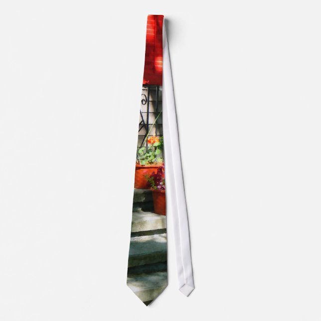Flower Pots and Red Shutters Neck Tie (Front)