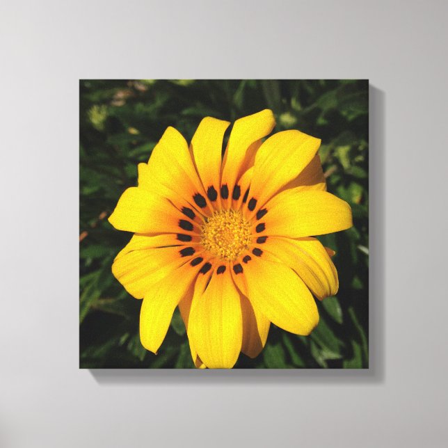 flower power canvas print (Front)