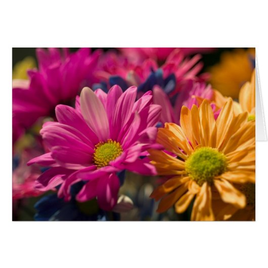 Flower Power Cards (Front Horizontal)